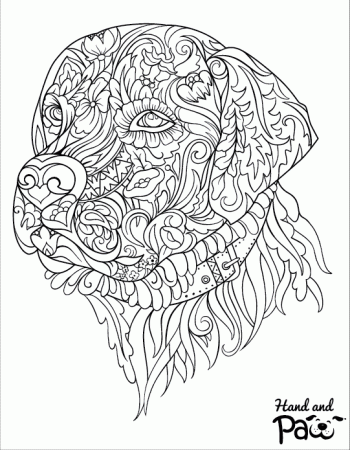 Adult Coloring Pages - Hand and Paw | H+P Natural Wellness
