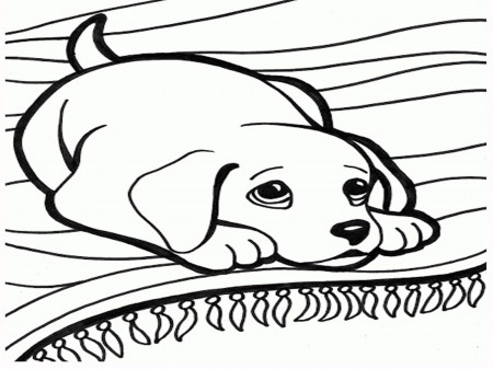 A Puppy Dog In A Christmas Stocking Coloring Page Free Printable ...
