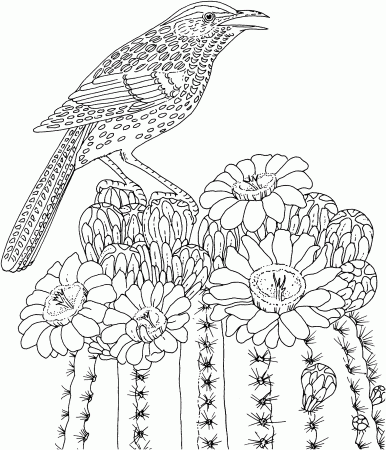Animal Coloring Pages Intricate - Coloring Pages For All Ages