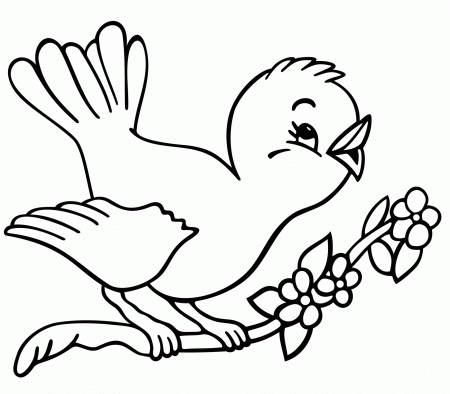 Birds For Kids - Coloring Pages for Kids and for Adults