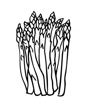Asparagus Coloring Pages - Best Coloring Pages For Kids