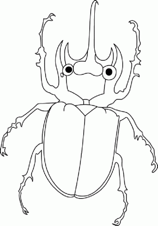 Beetle Coloring Pages (44 photos) » Drawings for sketching and not only -  Papik.PRO