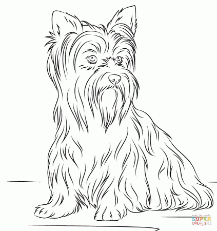 Dogs coloring pages | Free Coloring Pages