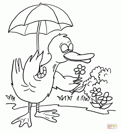 Duck with Umbrella coloring page | Free Printable Coloring Pages