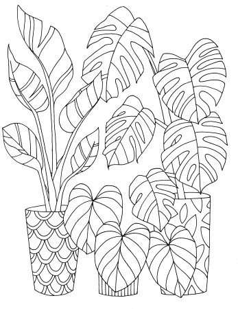 I made a tropica plant coloring page for a work event, and I decided to  share with some plant-minded appreciators! A link to download a PDF file in  the comments : r/houseplants