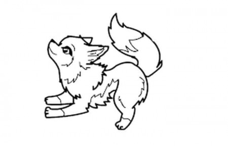 Anime Wolf Coloring Pages | Wolf colors, Cute wolf drawings, Animal coloring  pages
