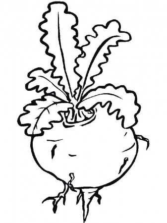 Beet coloring pages. Download and print Beet coloring pages