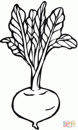 Beetroot coloring page | Free Printable Coloring Pages