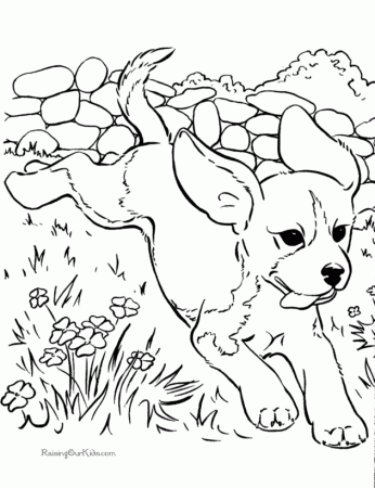 cavalier king charles coloring pages - Clip Art Library