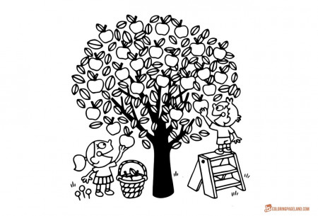 Apple orchard coloring pages for kids