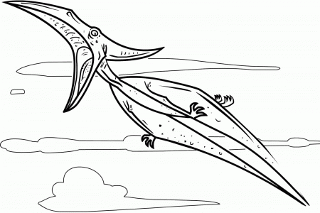 Pterodactyl Coloring Pages | Dinosaurs Pictures and Facts