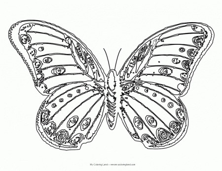 Butterfly Coloring Pages Beautiful - Coloring Pages For All Ages