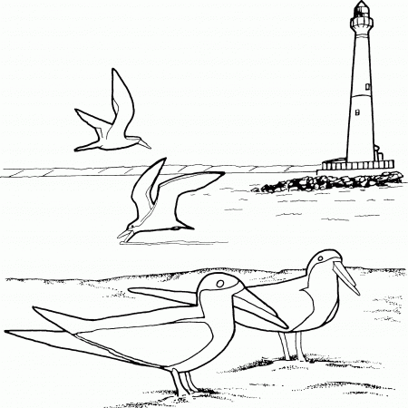 Lighthouse and Seagulls Coloring Page