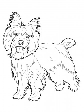 Cairn Terrier Coloring Pages - Dogs Coloring Pages - Coloring Pages For  Kids And Adults
