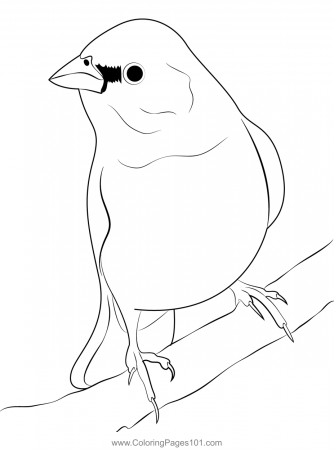 Painted Bunting Coloring Page for Kids - Free Buntings Printable Coloring  Pages Online for Kids - ColoringPages101.com | Coloring Pages for Kids