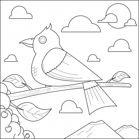 Bird on a tree branch suitable for children's coloring page vector  illustration 10945099 Vector Art at Vecteezy