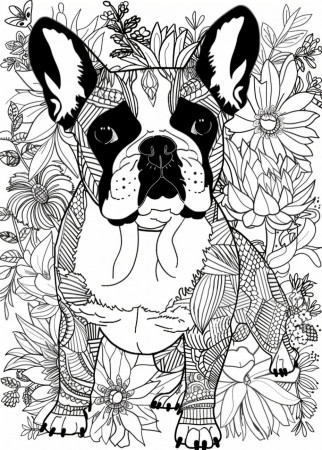 20 Cute French Bulldog Coloring Pages ...