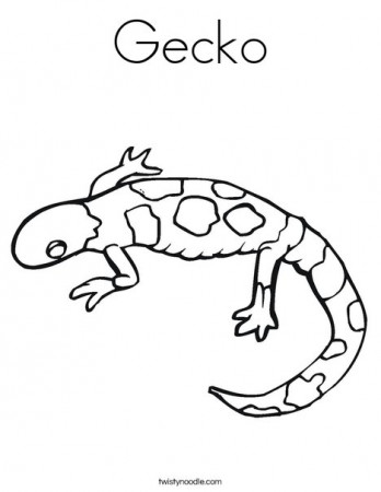 Gecko Coloring Page - Twisty Noodle
