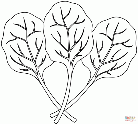 Spinach coloring page | Free Printable Coloring Pages