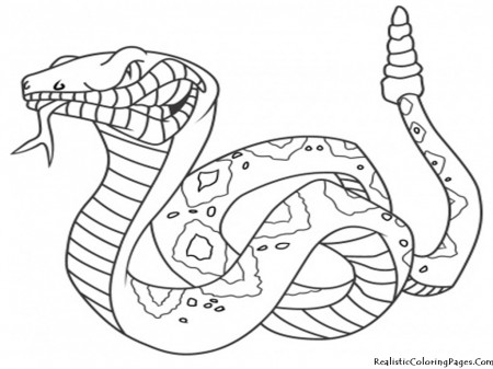 Snake #6 (Animals) – Printable coloring pages