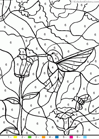 Animal_color_by_number color-by-number-hummingbird coloring pages ...