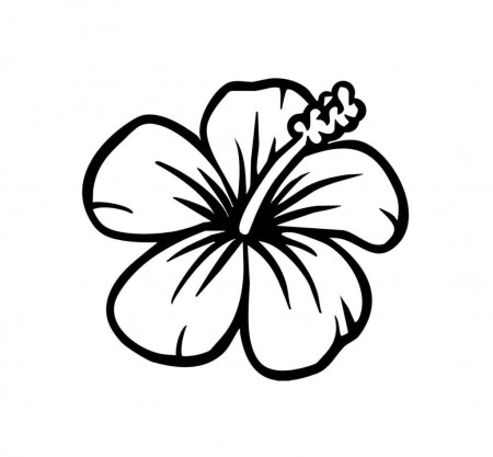 Coloring Pages: Hawaiian Flowers Coloring Pages: Hibiscus Flower ...
