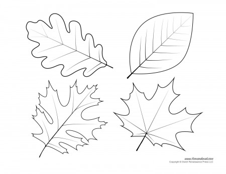 Leaf Coloring Pages | Forcoloringpages.com