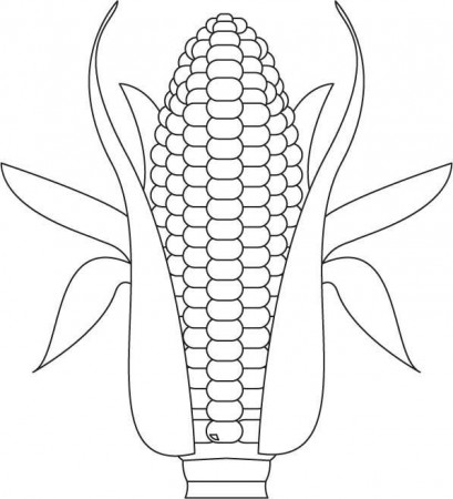 Corn Coloring Pages, Growing corn coloring page Download Free ...