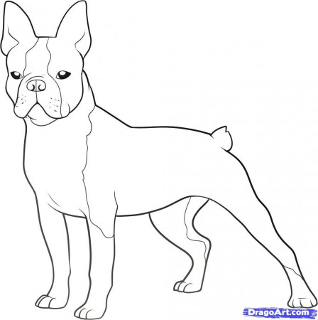 Boston Coloring Page - Coloring Pages For All Ages