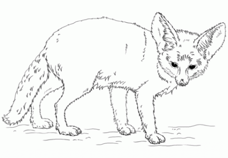 35 Fennec Fox Coloring Pages - Free Printable Coloring Pages