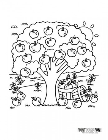 23 apple clipart & coloring pages to ...