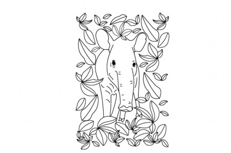 Tapir Coloring Page SVG Cut file by Creative Fabrica Crafts · Creative  Fabrica