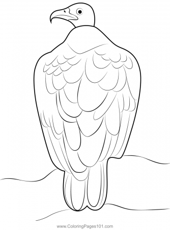 Sitting Vulture Coloring Page for Kids - Free Hawks and Eagles Printable Coloring  Pages Online for Kids - ColoringPages101.com | Coloring Pages for Kids