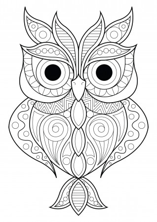 Owl simple patterns - 2 - Owls Adult Coloring Pages