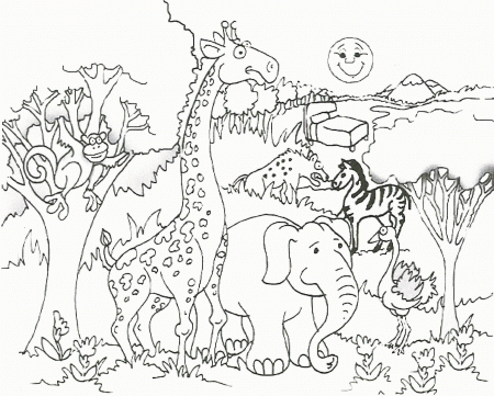 Related African Animal Coloring Pages item-17835, Wild Animal ...