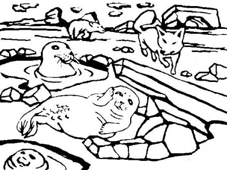 A Group of Arctic Animals Coloring Page: A Group of Arctic Animals ...