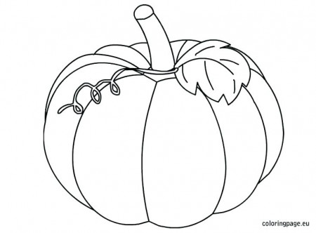 The best free Squash coloring page images. Download from 56 free ...