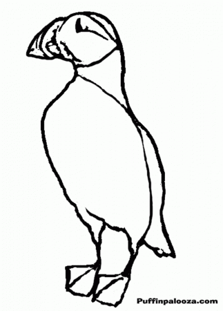 Puffin Coloring Pages