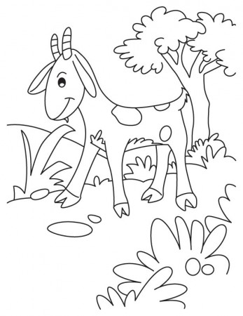 Blushing goat coloring page | Download Free Blushing goat coloring ...