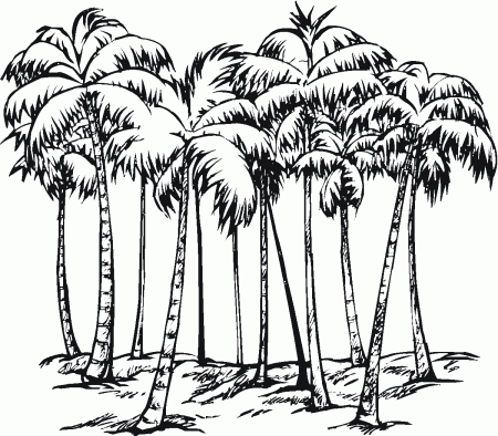 Tree coloring pages