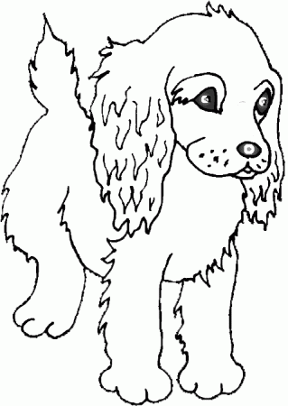 Dog coloring pages: Color this puppy coloring page of a cute cocker spaniel  puppy! Lots of great dog coloring book pages for you to color!