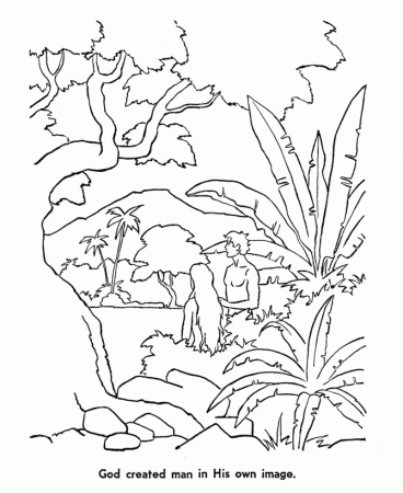 Creation Coloring Pages