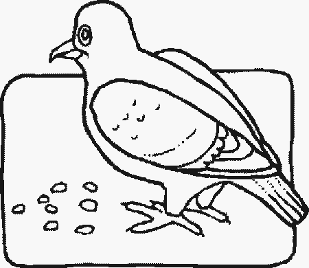 Birds Eating Seeds Coloring Page Coloring Pages