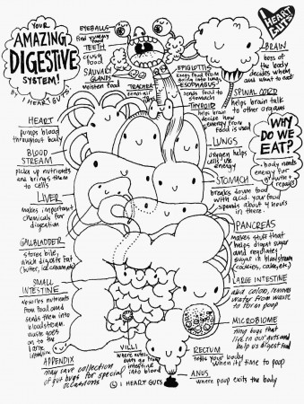 Coloring Pages : Digestive System Coloring Sheet Brain Heart Guts ...