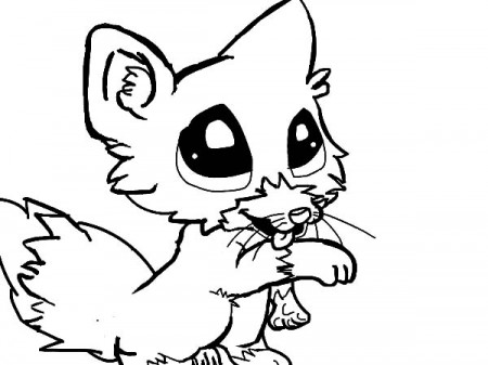 Fox Coloring Pages Free Printable at GetDrawings | Free download