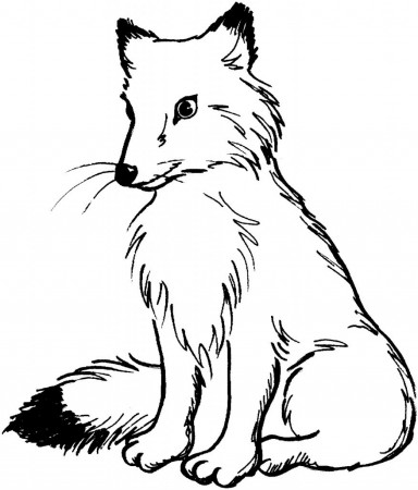 Fox coloring pages | The Sun Flower Pages