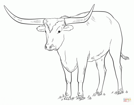 Texas Longhorn coloring page