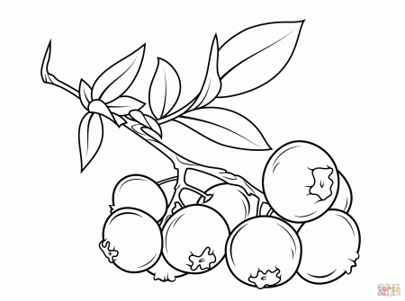blueberry black and white clipart - Clip Art Library