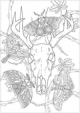 Deer skull and moths - Butterflies & insects Adult Coloring Pages