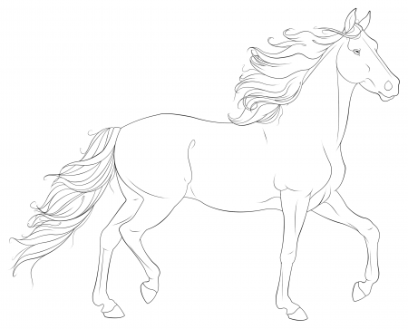 Realistic Horse Coloring Pages - Get Coloring Pages